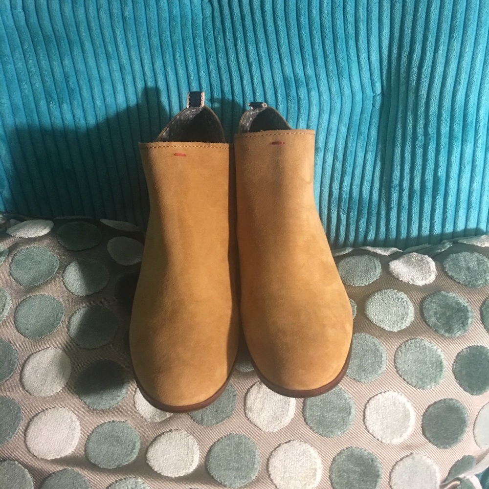 Ellen Degeneres (ED) shoes